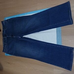 Talbots Dark Blue Flare Jeans